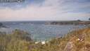 ./images/calvert/foggy-cove/20260507/foggy-cove20260507_150501M.jpg