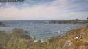 ./images/calvert/foggy-cove/20260507/foggy-cove20260507_151001M.jpg