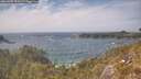 ./images/calvert/foggy-cove/20260507/foggy-cove20260507_152001M.jpg