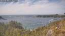 ./images/calvert/foggy-cove/20260507/foggy-cove20260507_152501M.jpg