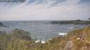 ./images/calvert/foggy-cove/20260507/foggy-cove20260507_153001M.jpg
