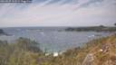 ./images/calvert/foggy-cove/20260507/foggy-cove20260507_153501M.jpg