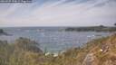 ./images/calvert/foggy-cove/20260507/foggy-cove20260507_154001M.jpg