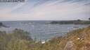 ./images/calvert/foggy-cove/20260507/foggy-cove20260507_154501M.jpg