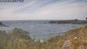 ./images/calvert/foggy-cove/20260507/foggy-cove20260507_155001M.jpg