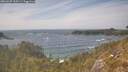 ./images/calvert/foggy-cove/20260507/foggy-cove20260507_155501M.jpg