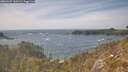 ./images/calvert/foggy-cove/20260507/foggy-cove20260507_160501M.jpg