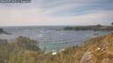 ./images/calvert/foggy-cove/20260507/foggy-cove20260507_161501M.jpg