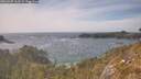 ./images/calvert/foggy-cove/20260507/foggy-cove20260507_162501M.jpg
