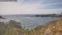 ./images/calvert/foggy-cove/20260507/foggy-cove20260507_163001M.jpg