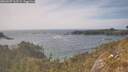 ./images/calvert/foggy-cove/20260507/foggy-cove20260507_163501M.jpg