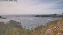 ./images/calvert/foggy-cove/20260507/foggy-cove20260507_164001M.jpg