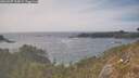 ./images/calvert/foggy-cove/20260507/foggy-cove20260507_164501M.jpg