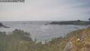 ./images/calvert/foggy-cove/20260507/foggy-cove20260507_165501M.jpg