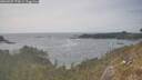 ./images/calvert/foggy-cove/20260507/foggy-cove20260507_170001M.jpg