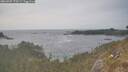 ./images/calvert/foggy-cove/20260507/foggy-cove20260507_170501M.jpg