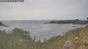 ./images/calvert/foggy-cove/20260507/foggy-cove20260507_171501M.jpg