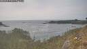 ./images/calvert/foggy-cove/20260507/foggy-cove20260507_172001M.jpg