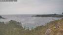 ./images/calvert/foggy-cove/20260507/foggy-cove20260507_172501M.jpg