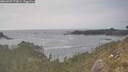 ./images/calvert/foggy-cove/20260507/foggy-cove20260507_173001M.jpg