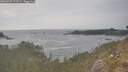 ./images/calvert/foggy-cove/20260507/foggy-cove20260507_173501M.jpg