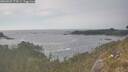 ./images/calvert/foggy-cove/20260507/foggy-cove20260507_174501M.jpg