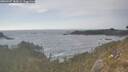 ./images/calvert/foggy-cove/20260507/foggy-cove20260507_180001M.jpg