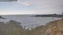 ./images/calvert/foggy-cove/20260507/foggy-cove20260507_180501M.jpg