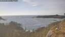 ./images/calvert/foggy-cove/20260507/foggy-cove20260507_181002M.jpg