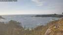 ./images/calvert/foggy-cove/20260507/foggy-cove20260507_181501M.jpg