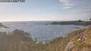 ./images/calvert/foggy-cove/20260507/foggy-cove20260507_182001M.jpg