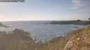 ./images/calvert/foggy-cove/20260507/foggy-cove20260507_182501M.jpg