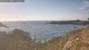 ./images/calvert/foggy-cove/20260507/foggy-cove20260507_183002M.jpg