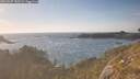 ./images/calvert/foggy-cove/20260507/foggy-cove20260507_183501M.jpg
