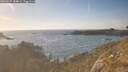 ./images/calvert/foggy-cove/20260507/foggy-cove20260507_184001M.jpg