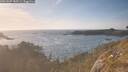 ./images/calvert/foggy-cove/20260507/foggy-cove20260507_185501M.jpg