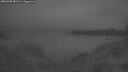 ./images/calvert/foggy-cove/20260508/foggy-cove20260508_051501M.jpg