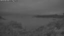 ./images/calvert/foggy-cove/20260508/foggy-cove20260508_052001M.jpg