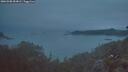 ./images/calvert/foggy-cove/20260508/foggy-cove20260508_053001M.jpg