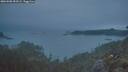 ./images/calvert/foggy-cove/20260508/foggy-cove20260508_053501M.jpg