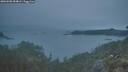./images/calvert/foggy-cove/20260508/foggy-cove20260508_054001M.jpg
