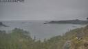 ./images/calvert/foggy-cove/20260508/foggy-cove20260508_061001M.jpg