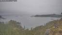 ./images/calvert/foggy-cove/20260508/foggy-cove20260508_062501M.jpg