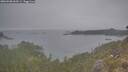 ./images/calvert/foggy-cove/20260508/foggy-cove20260508_063501M.jpg