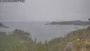 ./images/calvert/foggy-cove/20260508/foggy-cove20260508_064501M.jpg