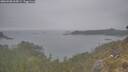 ./images/calvert/foggy-cove/20260508/foggy-cove20260508_065001M.jpg