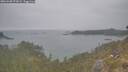 ./images/calvert/foggy-cove/20260508/foggy-cove20260508_070002M.jpg