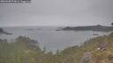 ./images/calvert/foggy-cove/20260508/foggy-cove20260508_071001M.jpg