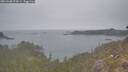 ./images/calvert/foggy-cove/20260508/foggy-cove20260508_072001M.jpg
