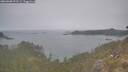 ./images/calvert/foggy-cove/20260508/foggy-cove20260508_072501M.jpg